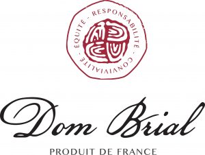 Logo Dom Brial