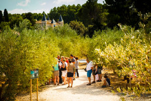 Séjour au moulin de l'oulibo