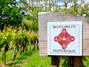 Visite des vignes monuments historiques Plaimont