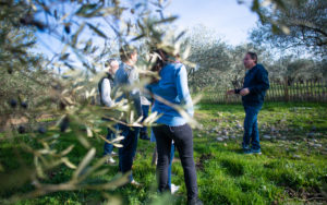 Visite du Domaine de l'Oulivie