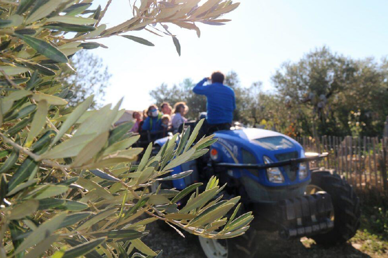 Visite du Domaine de l'Oulivie en tracteur